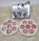 TV Parlour Professional Shiny Blusher Highlighter Palette Kit - 7 Shades - Image 2